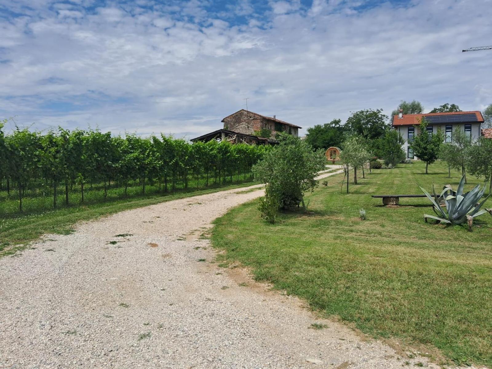 Casa Zafferano - Apartment With Garden Corno di Rosazzo Eksteriør bilde
